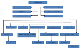 organisational structure veer surendra sai university of