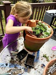 Like many good ideas, you start with some other idea and build on it. How To Build A Fairy Garden With Kids Finding Zest