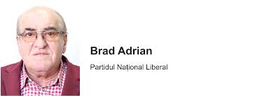 Componența/declarații de avere și interese