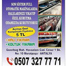 Sampiyon Hali Yikama Antalya Antalya Hali Yikama Otomatik Makine Ile Kaliteli Hizli Uygun Fiyatlarla Yun Makina Ipek El Dokuma Hali Yikama Yorgan Battaniye Stor Perde Yatak Halifleks Kilim Yun Ve Doseme
