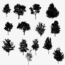 Tree Silhouette Black Trees Png Transparent Clipart Image And Psd File For Free Download Tree Silhouette Silhouette Png Clipart Images