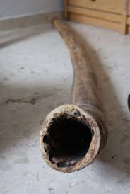 Next we'll work on circular breathing and then we'll finish up by learning rhythmical playing techniques. How To Play The Didgeridoo Artofit