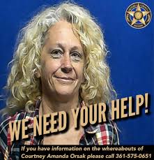 Amanda Orsak's Instagram, Twitter & Facebook