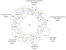 Frontiers Identification And Classification For The