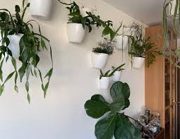 Unfortunately, you can only use a suction cup hanger to safely hang a plant from glass, but it's a great option that won't put any holes in the wall. How To Hang Plants Without Drilling Holes Lya Solis