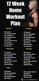 Your Personal 12 Week Home Workout Plan No Gym Involved Absworkoutforbeginnersforwomen Simple Workout Plan 12 Week Workout At Home Workout Plan