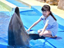 Meeting The Dolphins At Atlantis Dolphin Cay - Powered By Mom