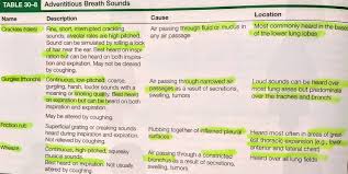 Adventitious Breath Sounds Related Keywords Suggestions