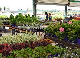 Every item on this page was curated by an elle decor editor. Benara Nurseries