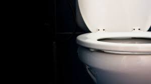 Check spelling or type a new query. Clogged Toilet Here S Everything You Shouldn T Do