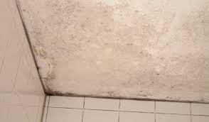 Dabei hilft ein hygrometer, das die luftfeuchtigkeit misst und. Schimmel Im Haus Tipps Vom Landratsamt Starnberg 02 02 2018