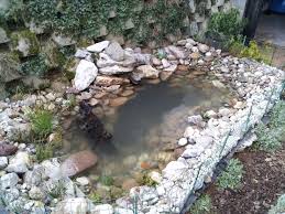 This is my second link. Backyard Turtle Pond Ideas