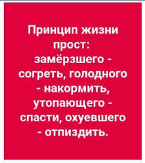 скажи мне кто твой друг и я скажу тебе кто ты Pin On Yumor