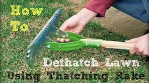 Special thatch rakes like this one will have sharpened tines that will help lift the thatch away from the soil. How To Dethatch Lawn Using A Thatching Rake Youtube