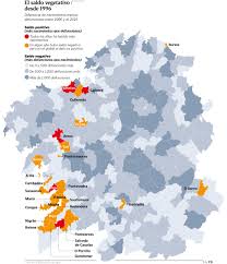 El Saldo Vegetativo Desde 1996 Graficos