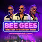 Magic Of The Bee Gees event image
