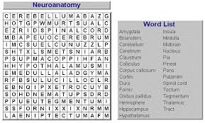 No registration needed to make free, professional looking crossword puzzles! Neuroanatomy Word Search