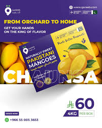 تطبـيق قــريب‎ | Fresh Mausami Chaunsa mangoes have just arrived in Riyadh!  Known for their unbeatable sweetness and rich flavor, these premium mangoes...  | Instagram
