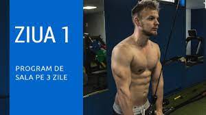 Nu si grupele musculare deoarece vei aplica regula antrenarii de 2 ori a fiecarei grupe. Piept Triceps Umeri Program De 3 Zile Ziua 1 Youtube