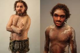 More neandertal skeletons have been found than any other ancient human species. Bringing Neanderthals To Life Sculptures Of Elisabeth Daynes Field Museum