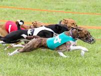 NOTRA Race Meet