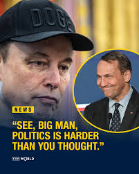 Poland's foreign minister, Radosław Sikorski, has joined the fiery online  row between Donald Trump and Elon Musk by taunting the Tesla CEO over his  brief venture into American politics.