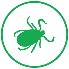 Claim your listing | testimonials. Pest Extermination Branson Mo Mr Bug Killer Inc