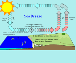 This Image Explains How The Sea Breeze Affects Temperature Change Over The Land And Ocean Ms Ess2 6 Ms Ess2 4 Sea Breeze Weather And Climate Ocean