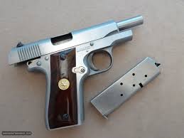 Image result for Grace Silver 1989 Colt