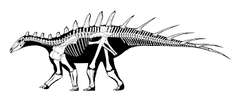 南投中寮的台灣鸚鵡螺化石發現經過 臺灣雅石文史工作室 痞客邦