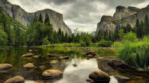 We did not find results for: Free Download Animaux Et Nature Beautiful Nature Hd 1920x1080 Wallpaper 2279jpg 1280x720 For Your Desktop Mobile Tablet Explore 41 Hd Nature Wallpapers 1920x1080 Hd Nature Wallpaper Nature Wallpaper 1920x1080