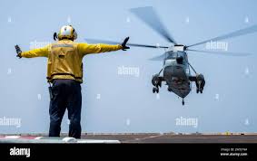 A native of memphis hi-res stock photography and images