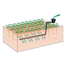 Hochbeet Bewasserungssystem Online Kaufen Bei Gartner Potschke Hochbeet Garten Hochbeet Bewasserung Garten