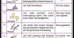 Link kunci jawaban ada di bawah postingan. Penyesuaian Diri Makhluk Hidup Terhadap Lingkungan Adalah Materi Soal Dan Pembahasan Lengkap Sd Dan Smp