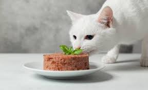 Insufficienza renale acuta intrinseca (danno strutturale di un distretto renale) insufficienza renale acuta postrenale (ostruzione delle vie urinarie). Come Alimento I Miei Gatti Con Insufficienza Renale Dieta Ricette Elicats It