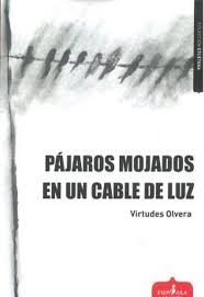 Pájaros mojados en un cable de luz: Olvera, Virtudes, Lozano Ortiz,  Mariana, Ortiz Torres, Pilar, Megías Molero, Francisco Javier:  9788412518115: Amazon.com: Books