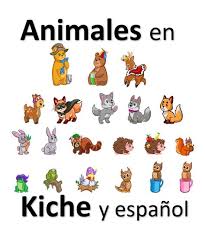Pin En Traductor De Idiomas Mayas Guatemala