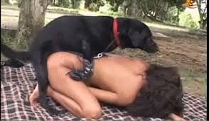 Viewing caution] The tragedy that hit the dog house! ← Cedar  wwwwwwwwwwwwwwwwwwwwwwww (with GIF) - 20/25 - Porn Image