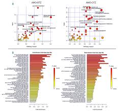 Proteasome inhibitor (20s irrev of 26s). A Metabolic Switch In Proteasome Inhibitor Resistant Multiple Myeloma Ensures Higher Mitochondrial Metabolism Protein Folding And Sphingomyelin Synthesis Haematologica