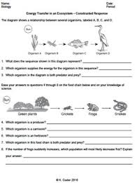 In contrast, deep neural networks (dnn), a deep learning model uses reinforced learning i.e. Worksheet Energy Transfer In An Ecosystem Cr Editable Tpt