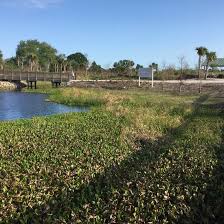 Hog pen landing campground in osceola, florida | with over 200,000 acres, it's smart to do a little research before hand on the national forest website or call the ranger's. The 5 Best Fort Pierce Camping Of 2021 With Prices Tripadvisor