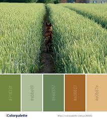 Color Palette Ideas From 3434 Grass Images Icolorpalette Cool Color Palette Colours That Go Together Color Palette