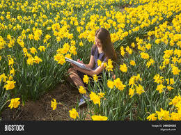 The best selection of royalty free field of flowers vector art, graphics and stock illustrations. Teenager Girl Paints Flowers Sitting In Blooming Field Image Stock Photo 246924052