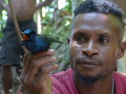 Livelihoods and bird research, PNG. by William Goulding
