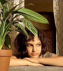 Image May Contain 1 Person Plant Leon The Professional Natalie Portman Movie Scenes