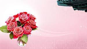 pin by رغــــــد on flower photography studio background flowers red flowers
