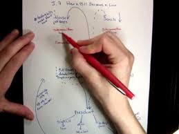 The Legislative Process Flow Chart Youtube