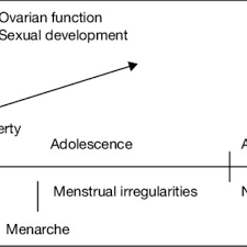 Pdf Delayed Puberty