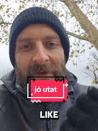 which apps do you use to translate Hungarian? #hungarian #languagelearning  #language #english #hungary #trip