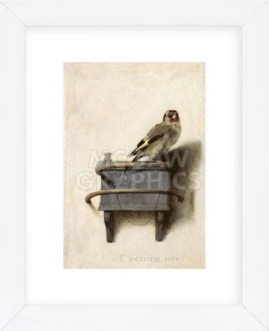 The Goldfinch, 1654 (Framed) | McGaw Graphics